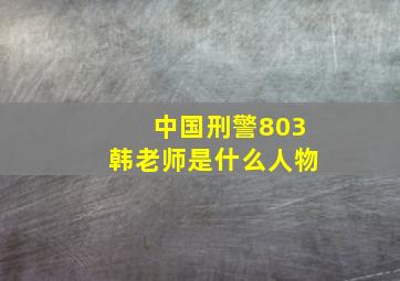 中国刑警803韩老师是什么人物