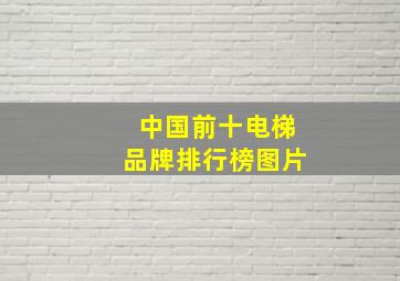 中国前十电梯品牌排行榜图片