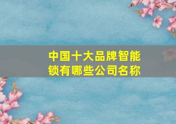 中国十大品牌智能锁有哪些公司名称