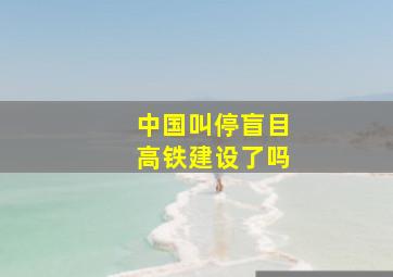 中国叫停盲目高铁建设了吗