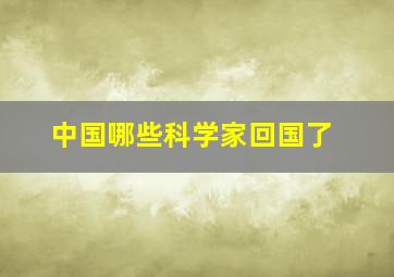 中国哪些科学家回国了