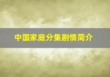 中国家庭分集剧情简介