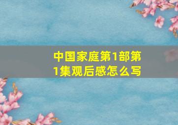 中国家庭第1部第1集观后感怎么写