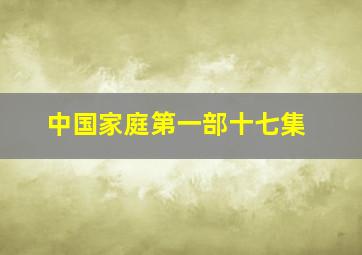 中国家庭第一部十七集