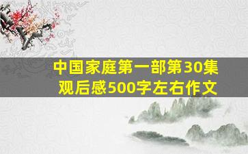 中国家庭第一部第30集观后感500字左右作文