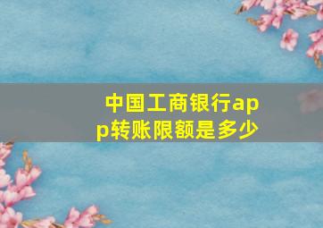 中国工商银行app转账限额是多少