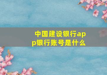 中国建设银行app银行账号是什么