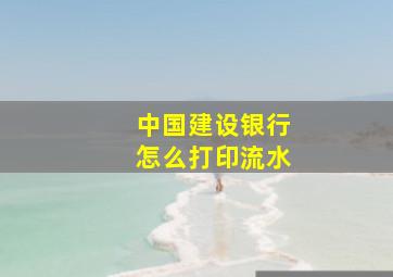 中国建设银行怎么打印流水