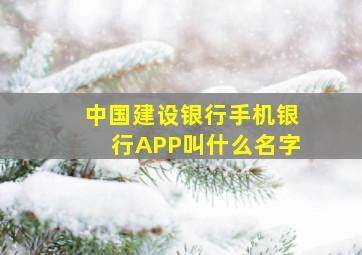 中国建设银行手机银行APP叫什么名字