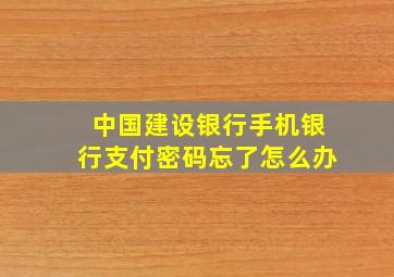 中国建设银行手机银行支付密码忘了怎么办