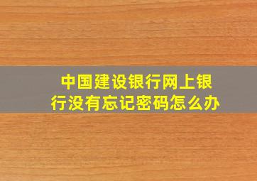 中国建设银行网上银行没有忘记密码怎么办