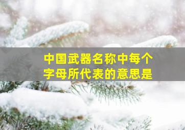 中国武器名称中每个字母所代表的意思是