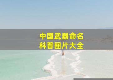 中国武器命名科普图片大全