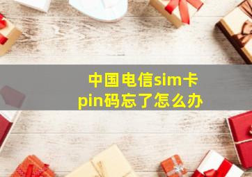 中国电信sim卡pin码忘了怎么办