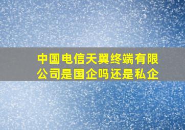 中国电信天翼终端有限公司是国企吗还是私企