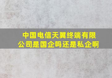 中国电信天翼终端有限公司是国企吗还是私企啊