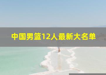 中国男篮12人最新大名单