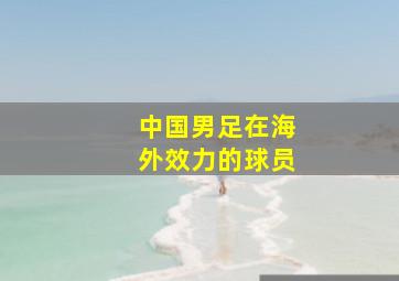 中国男足在海外效力的球员