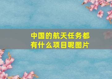 中国的航天任务都有什么项目呢图片