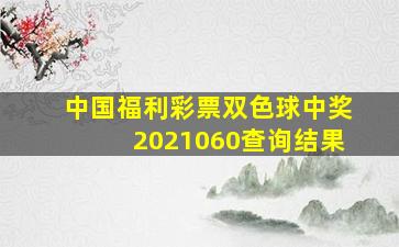 中国福利彩票双色球中奖2021060查询结果