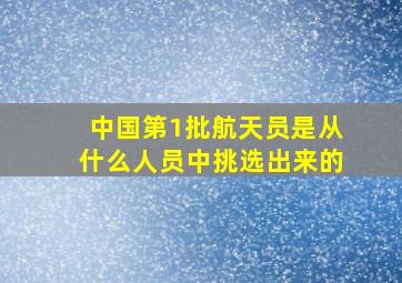 中国第1批航天员是从什么人员中挑选出来的