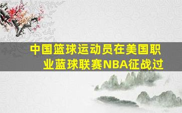 中国篮球运动员在美国职业蓝球联赛NBA征战过