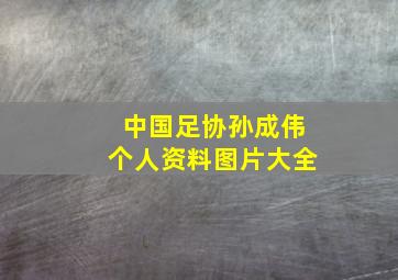 中国足协孙成伟个人资料图片大全