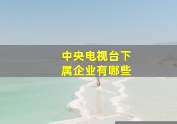 中央电视台下属企业有哪些