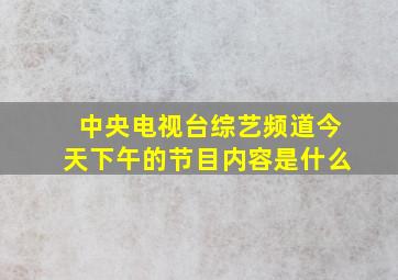 中央电视台综艺频道今天下午的节目内容是什么