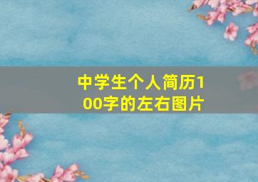 中学生个人简历100字的左右图片