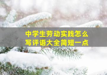 中学生劳动实践怎么写评语大全简短一点