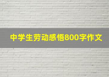 中学生劳动感悟800字作文