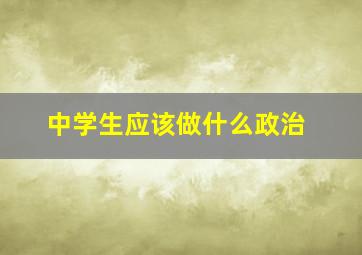 中学生应该做什么政治