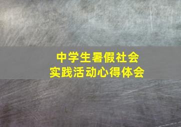 中学生暑假社会实践活动心得体会