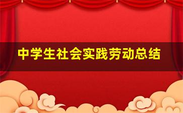 中学生社会实践劳动总结