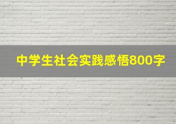 中学生社会实践感悟800字