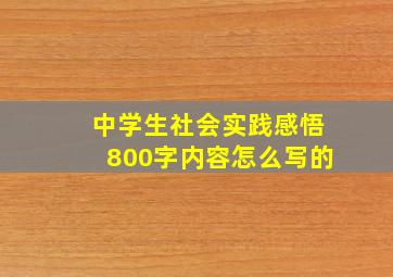 中学生社会实践感悟800字内容怎么写的