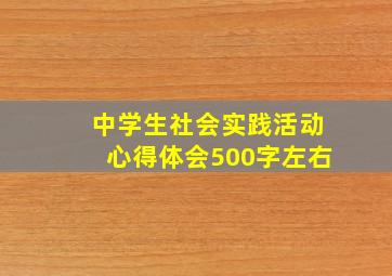 中学生社会实践活动心得体会500字左右