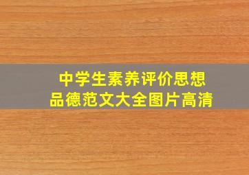 中学生素养评价思想品德范文大全图片高清