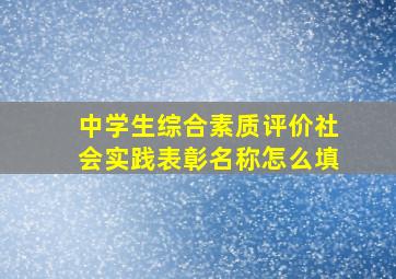 中学生综合素质评价社会实践表彰名称怎么填