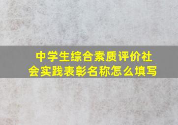 中学生综合素质评价社会实践表彰名称怎么填写