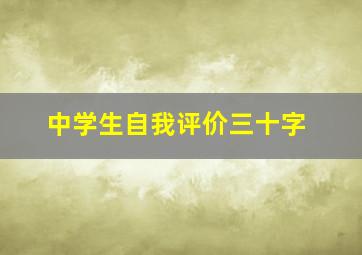 中学生自我评价三十字