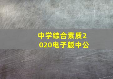 中学综合素质2020电子版中公