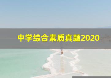 中学综合素质真题2020