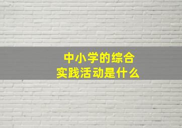 中小学的综合实践活动是什么