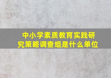 中小学素质教育实践研究策略调查组是什么单位