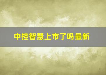 中控智慧上市了吗最新