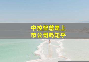 中控智慧是上市公司吗知乎