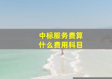 中标服务费算什么费用科目