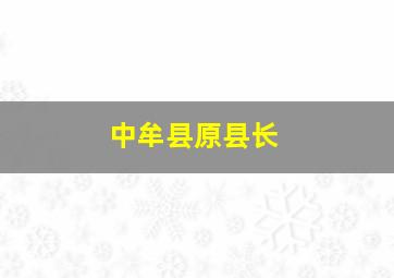 中牟县原县长